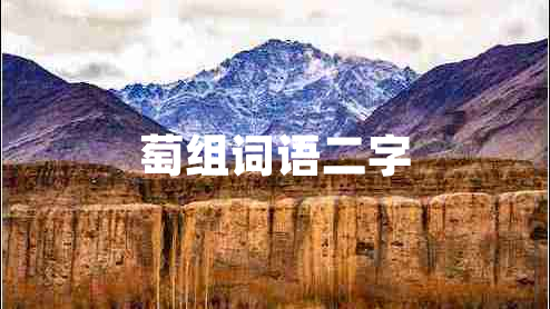 萄組詞語(yǔ)二字
