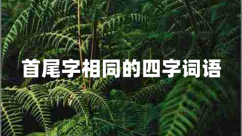 首尾字相同的四字詞語(yǔ)