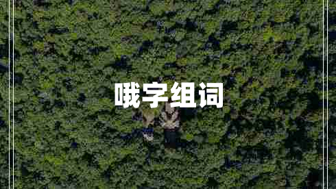 哦字組詞