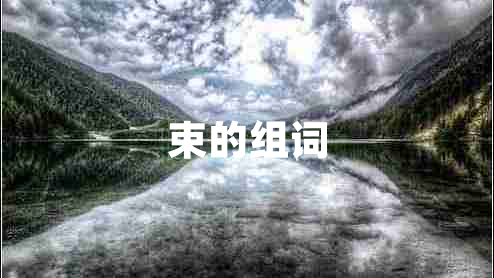 束的組詞