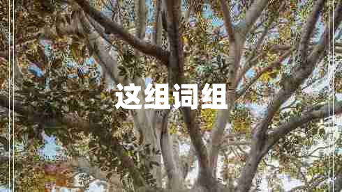 這組詞組