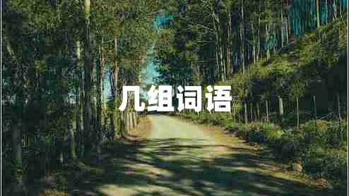 幾組詞語(yǔ)