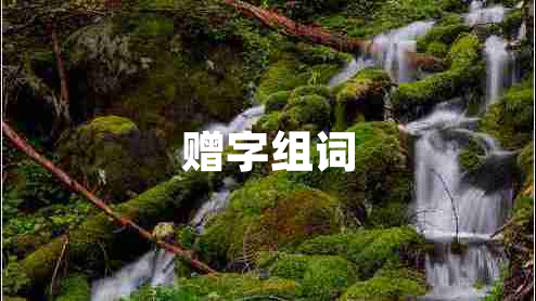 贈字組詞