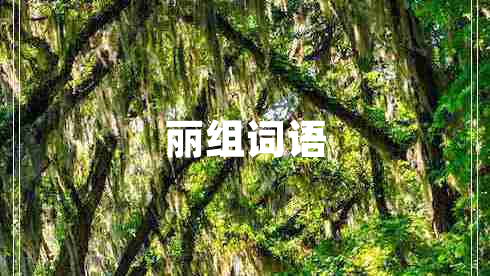 麗組詞語(yǔ)