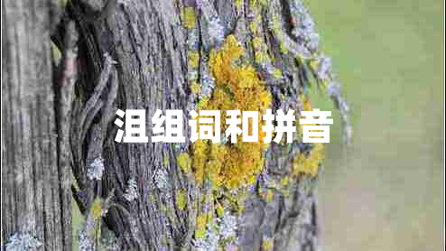 沮組詞和拼音