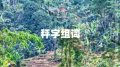 秤字組詞