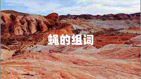 蠅的組詞