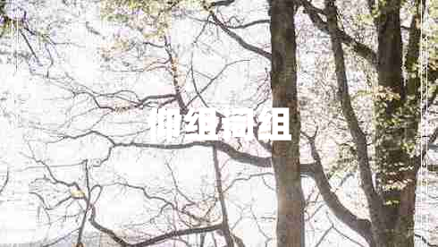 仰組詞組