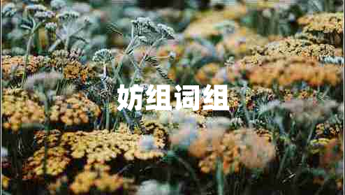 妨組詞組