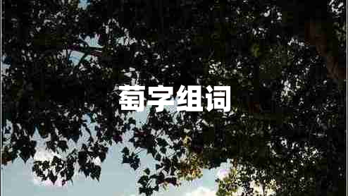 萄字組詞