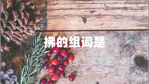 拂的組詞是