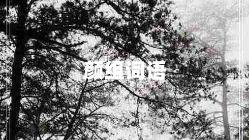 顏組詞語(yǔ)