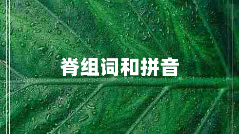 脊組詞和拼音