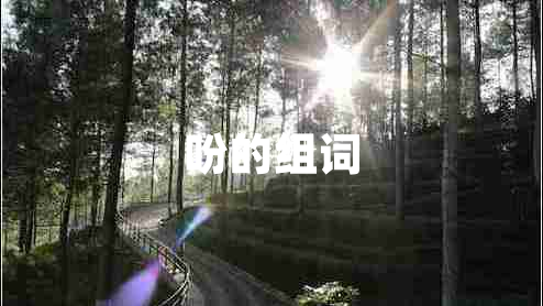 吩的組詞
