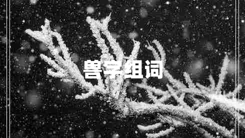 獸字組詞