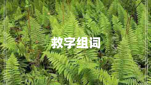 救字組詞