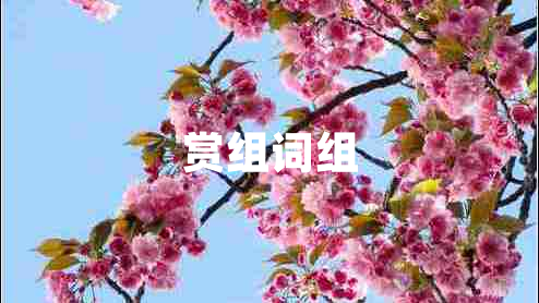 賞組詞組