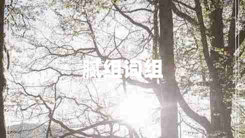 膩組詞組