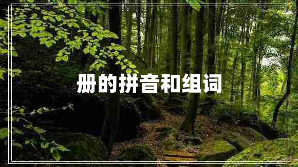 冊的拼音和組詞