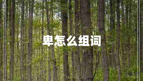 卑怎么組詞
