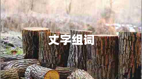 丈字組詞