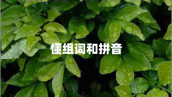 懂組詞和拼音