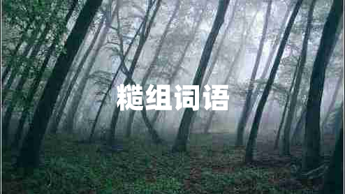 糙組詞語(yǔ)