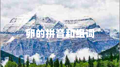 卵的拼音和組詞