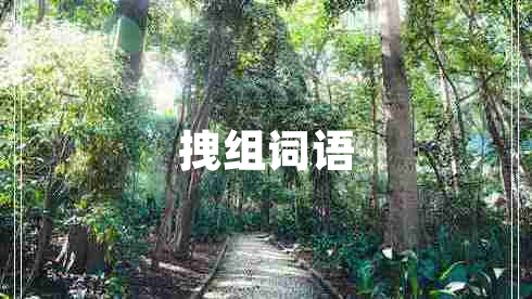 拽組詞語(yǔ)