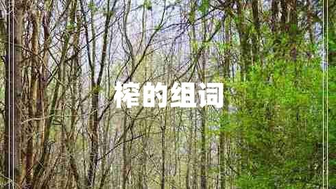 榨的組詞