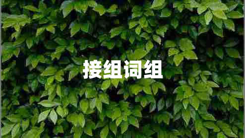 接組詞組