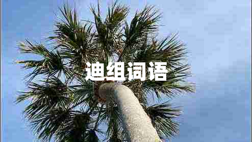 迪組詞語(yǔ)