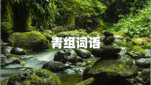 青組詞語(yǔ)