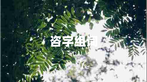 咨字組詞