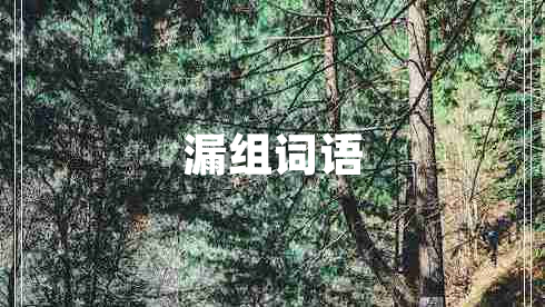 漏組詞語(yǔ)