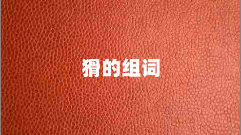 猾的組詞
