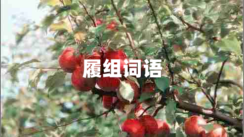 履組詞語(yǔ)