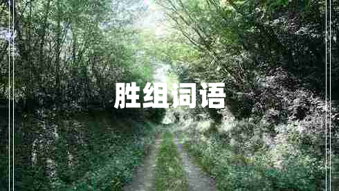 勝組詞語(yǔ)