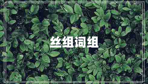 絲組詞組