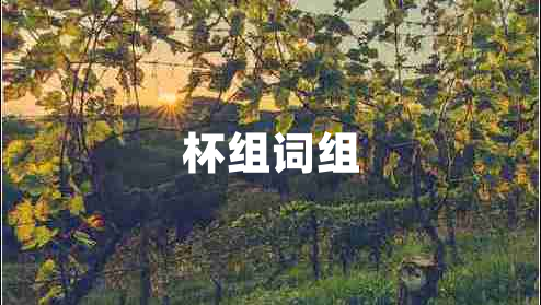杯組詞組
