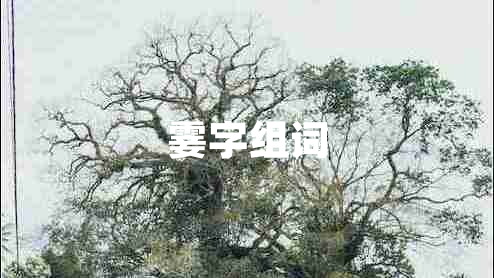 霎字組詞