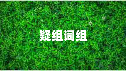 疑組詞組