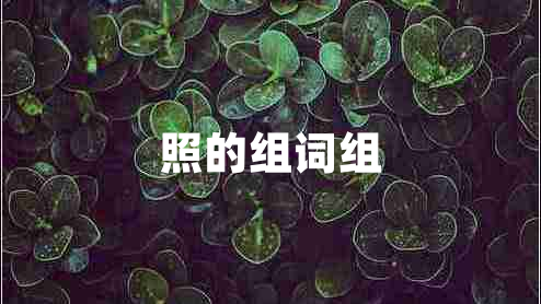 照的組詞組