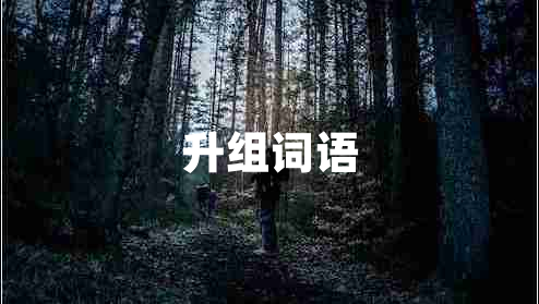 升組詞語