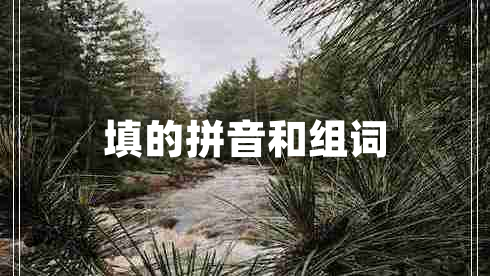 填的拼音和組詞