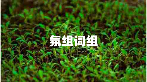 氛組詞組