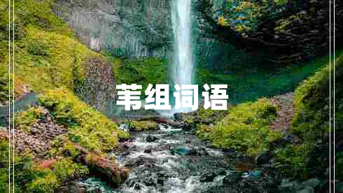 葦組詞語(yǔ)
