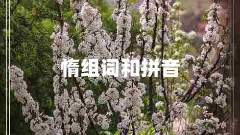 惰組詞和拼音