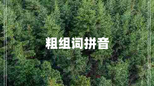 粗組詞拼音