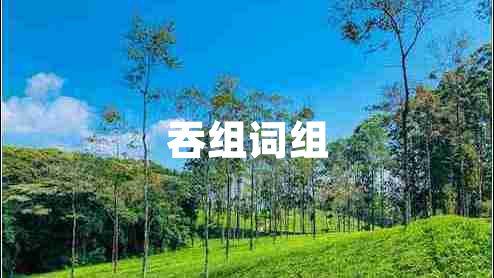 吞組詞組